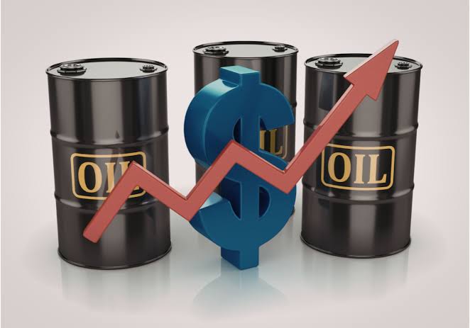 oil (1).jpg